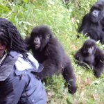 Buhoma sectors for gorilla trekking in Bwindi impenetrable forest National Park
