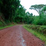 Rushaga in Bwindi National Park
