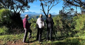 Adventure lovers viewing Bwindi Forest 