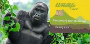 Uganda wildlife Gorilla trekking permit