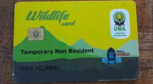 Uganda Wildlife Authority Gorilla trekking permit
