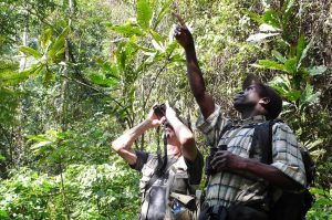 bird watching in Rushaga Gorilla trekking sector