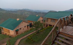 A view of Ruhija Gorilla Safari Lodge