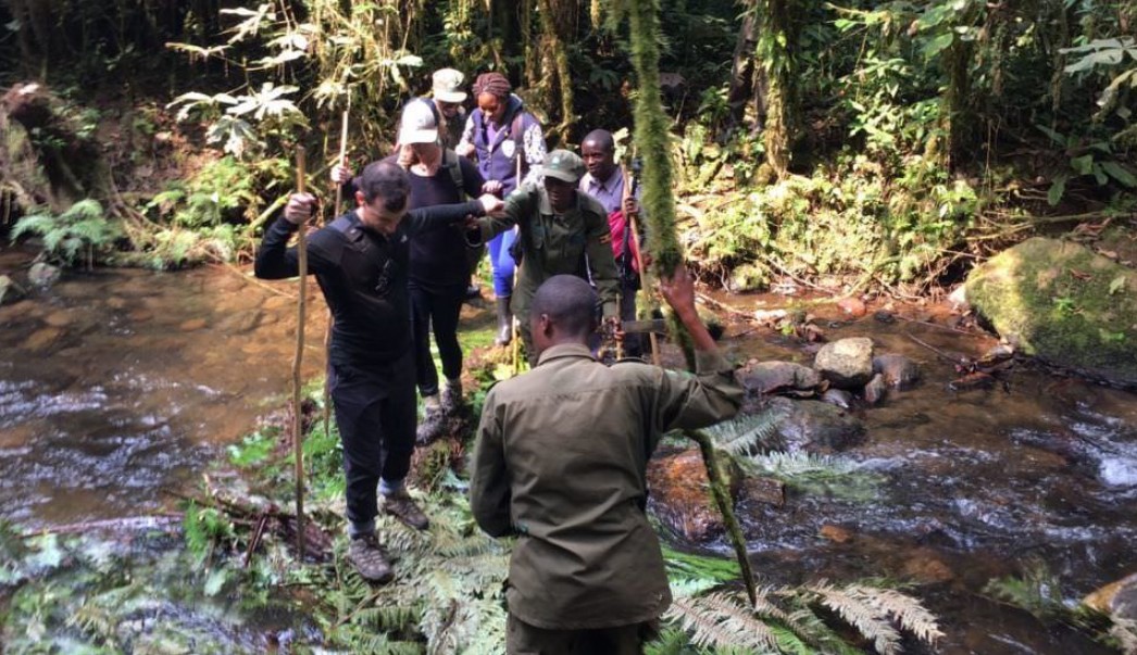 Trekkers searching for Gorillas in Bwindi Forest