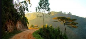 Travelling by road to Rushaga Gorilla trekking region
