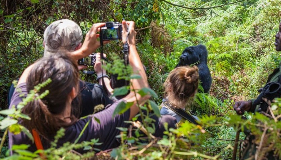 Trekkers after finding mountain Gorillas in Bwindi forest