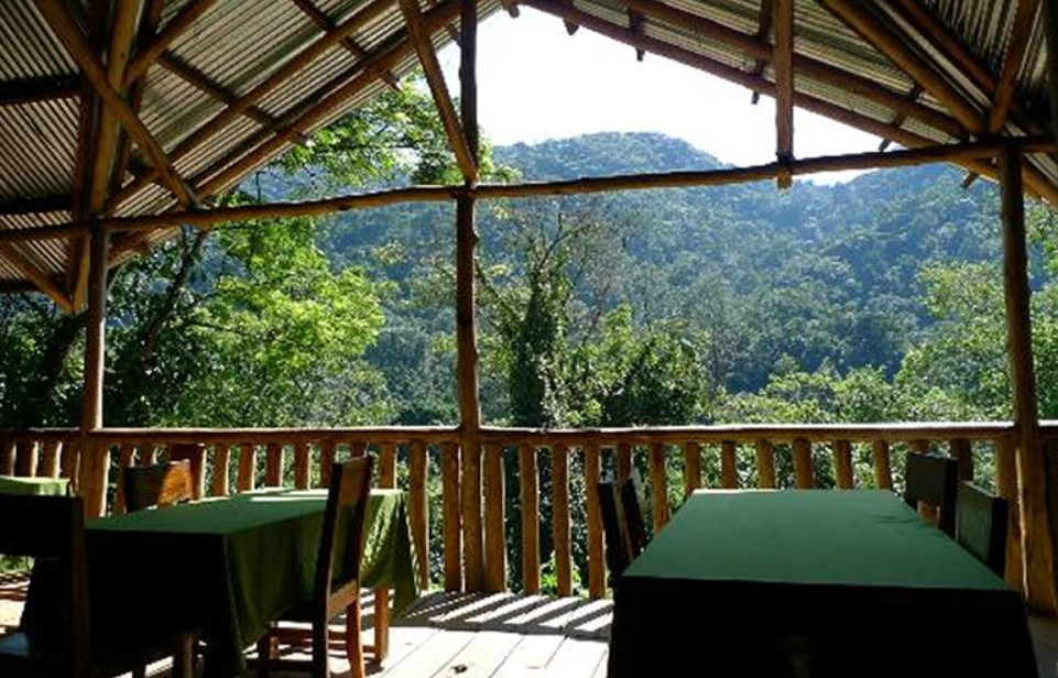 Sights of Bwindi forest from Buhoma Community Rest Camp