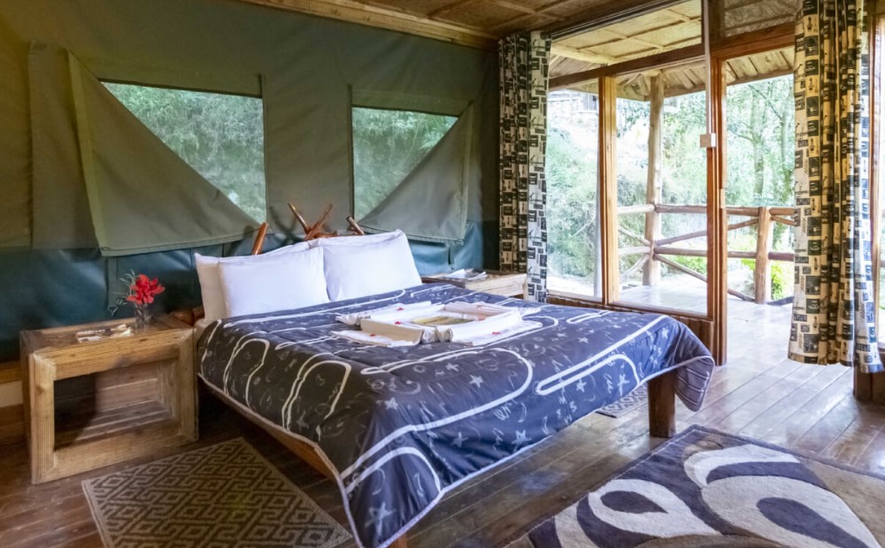 Stay at Rushaga Gorilla Lodge on your Gorilla safari to Bwindi