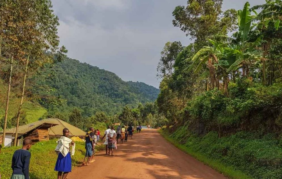 Travel by road from Kampala to bwindi