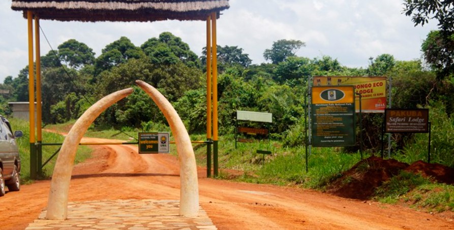 Gates of Murchison falls national park: The park has about 5 gates which tourists can use to access the park depending on where they are coming from