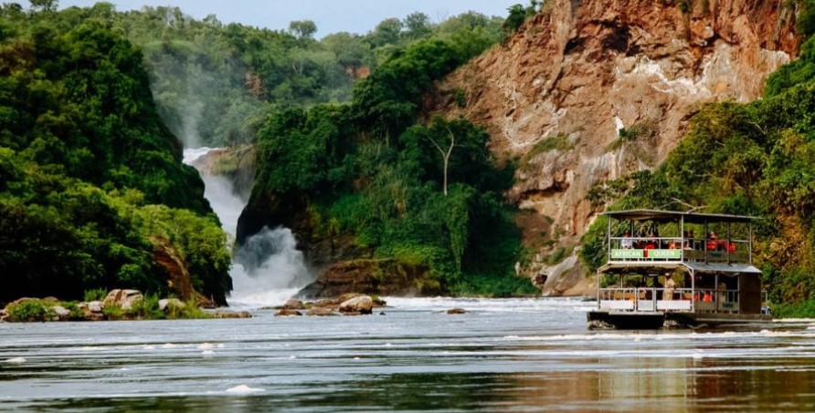 bottom of the falls boat cruise – Murchison falls national park: This is Uganda's largest protected area with a lot of activities can be done by travelers