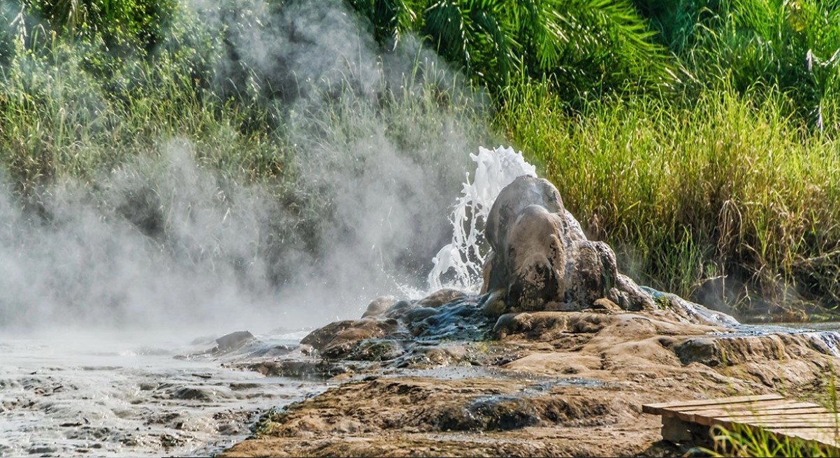 Safety in Semuliki national park with over 53 mammals, and 441 bird species tourists can visit the park to explore the different attractions found there