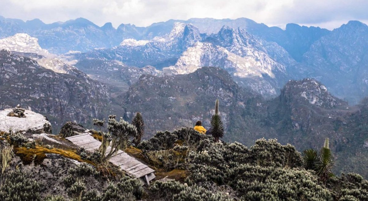 What to do in Rwenzori mountains national park after bird watching? With over 217 bird species, the park attracts lots of birders in western uganda