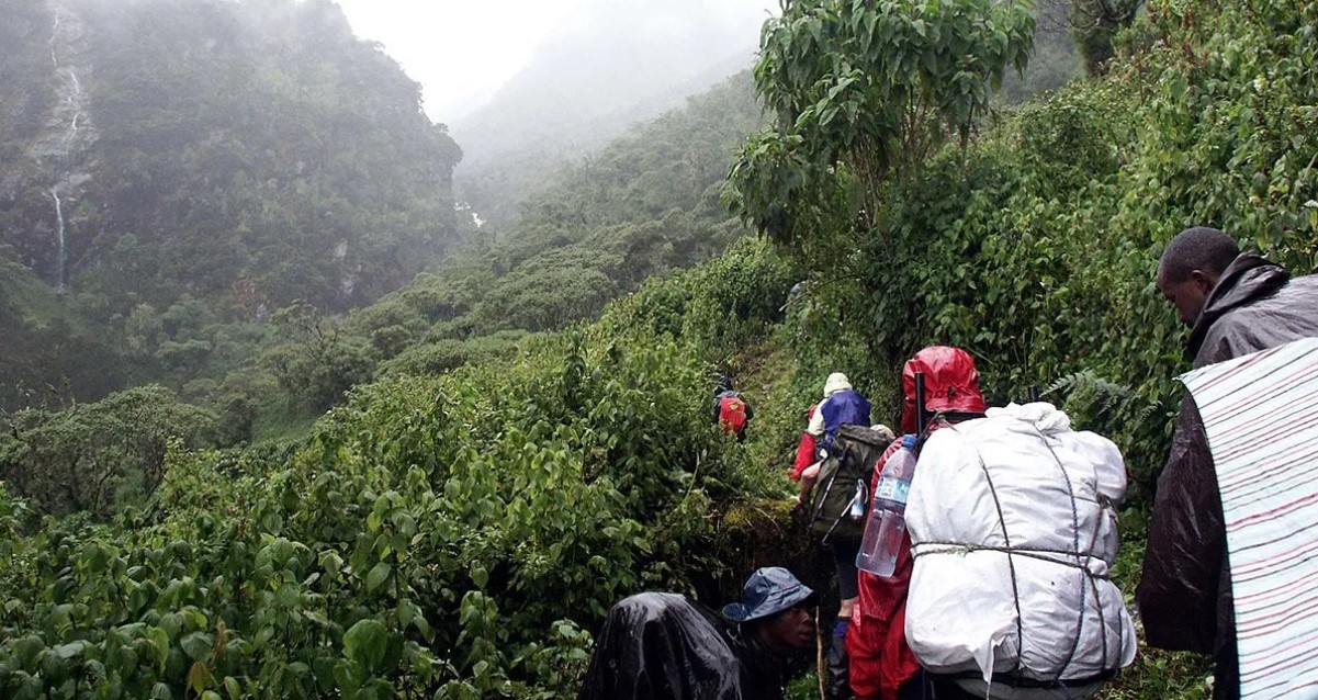 Hike Mountains of the moon in the rainy season