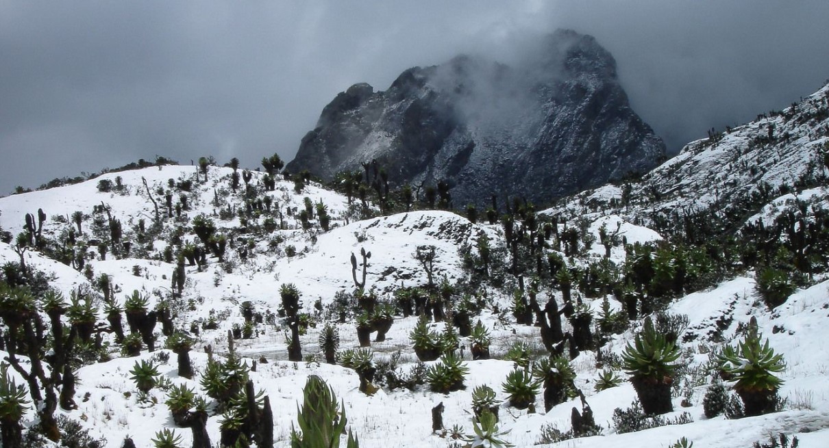 Hiking Mountain Rwenzori: Mountains of the moon is the tallest mountain found in the western Uganda of about 120 kilometers wide, 65 kilometers long