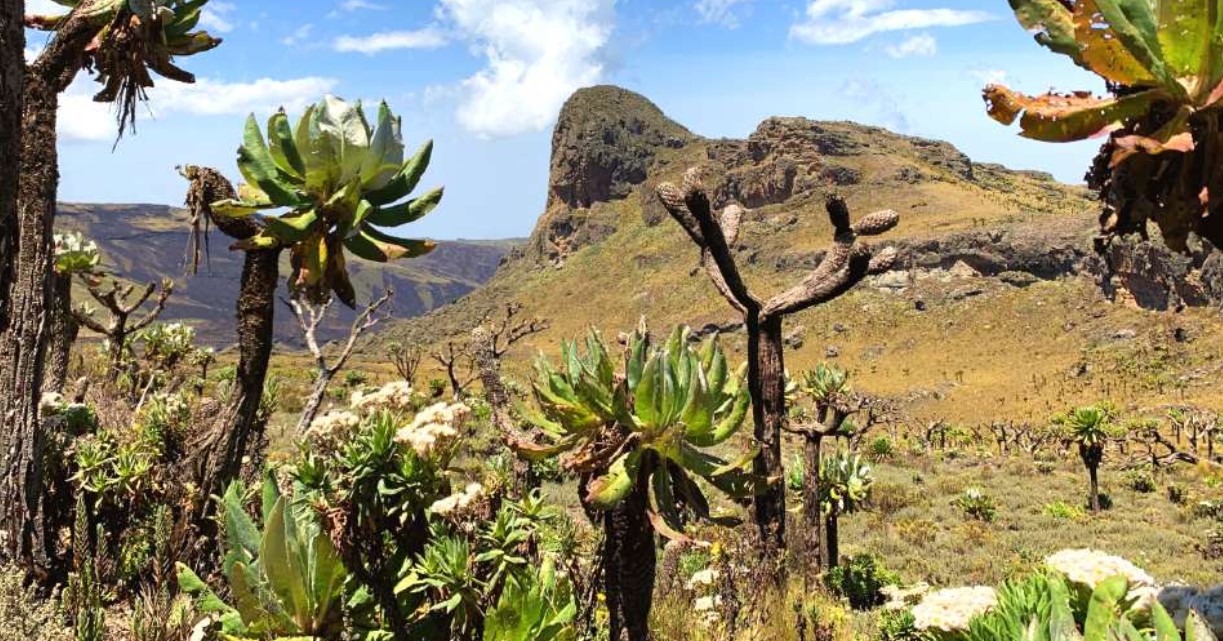 Climbing Mount Elgon in December: The last month of the year is a good time to go hiking the second tallest mountain in Uganda after Mountain Rwenzori
