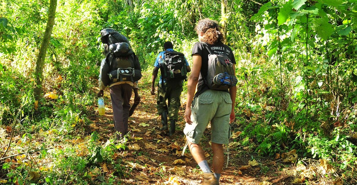 How hard is climbing Mount Elgon: Situated on the Uganda Kenya borders, the mountain is an extinct shield volcano standing 4321 meters above sea level