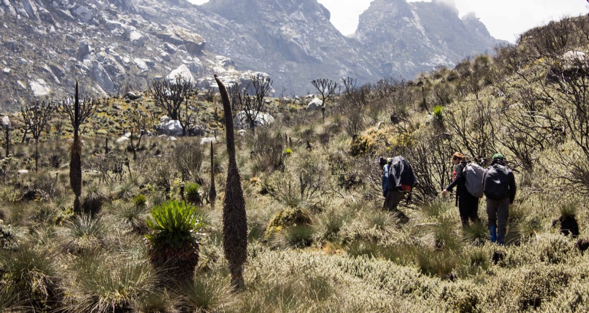 Is Mount Elgon worth hiking? found on the eastern side of Uganda on boaders with Kenya in Mbale district an extinct dormant volcano