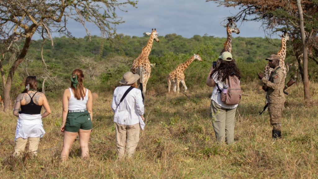 Walking through Lake Mburo National Park: located in Kiruhura district in the western part of Uganda is the only park in Uganda